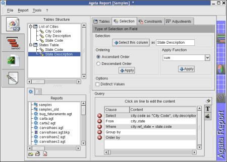 Agata Report
