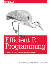 Efficient R Programming