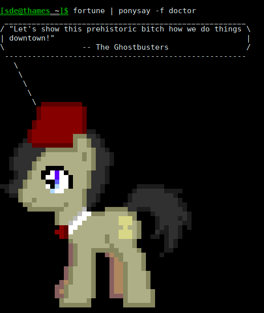 ponysay doctor