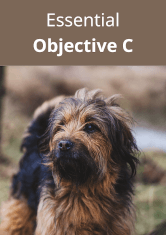 Essential Objective C