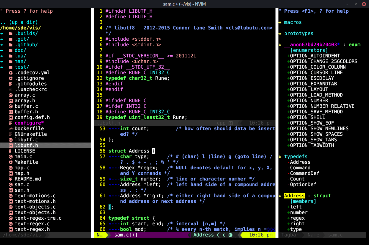 FVim