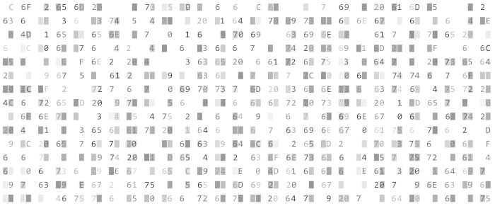 Hex Editor