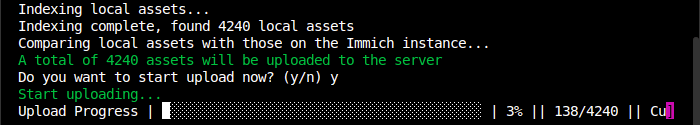 Immich - bulk uploading