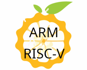 ARM v RISC-V
