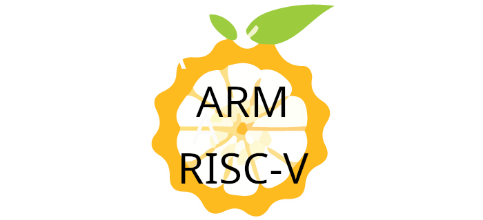 ARM v RISC-V