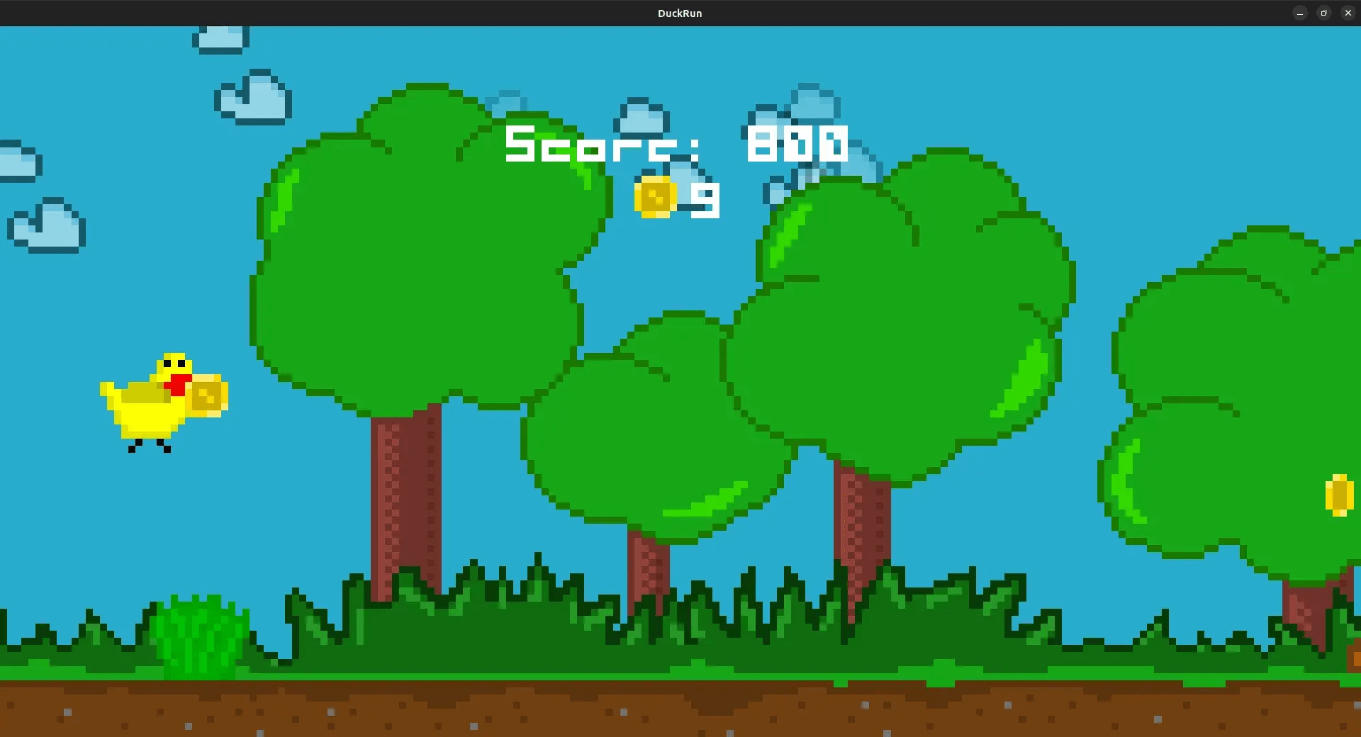 DuckRun
