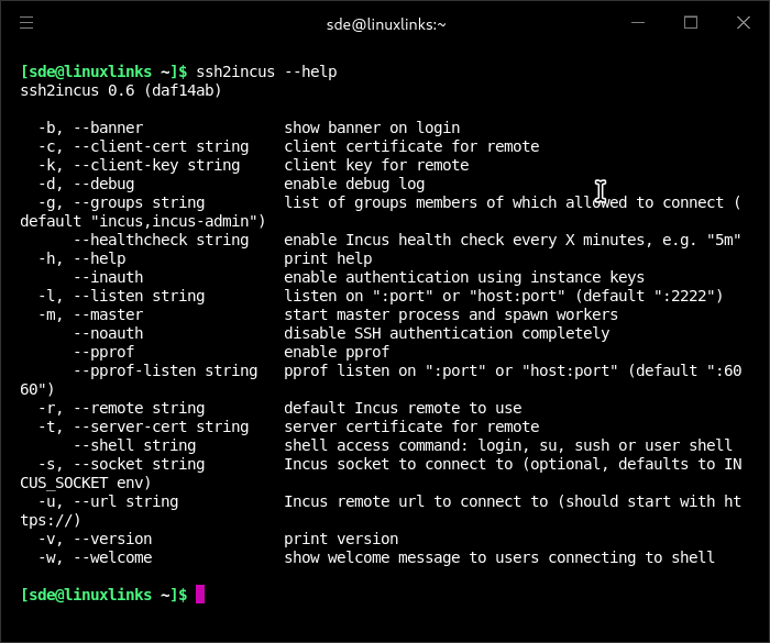 ssh2incus options