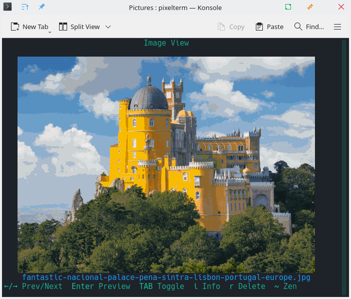 PixelTerm-C in action