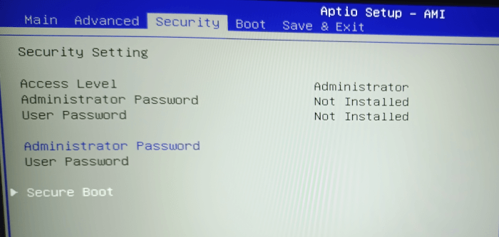 Security section in the BIOS