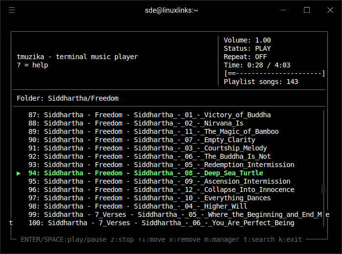 tmuzika playing music