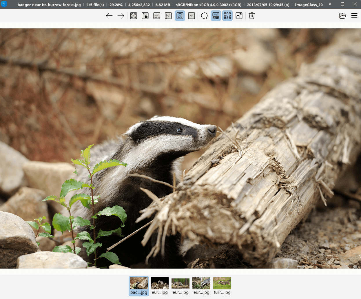 ImageGlass image viewer