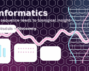 Bioinformatics
