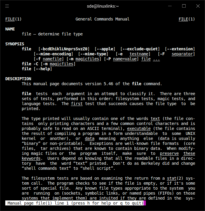 file man page