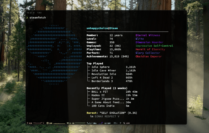 steamfetch in action