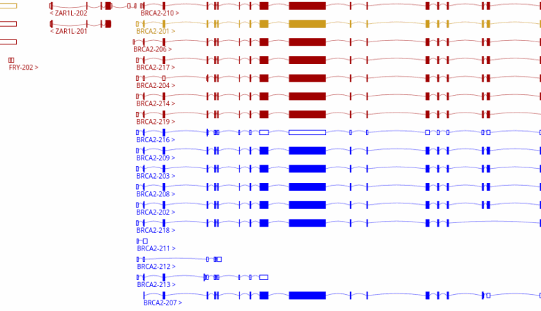 Genoverse - HTML5 scrollable genome browser - LinuxLinks