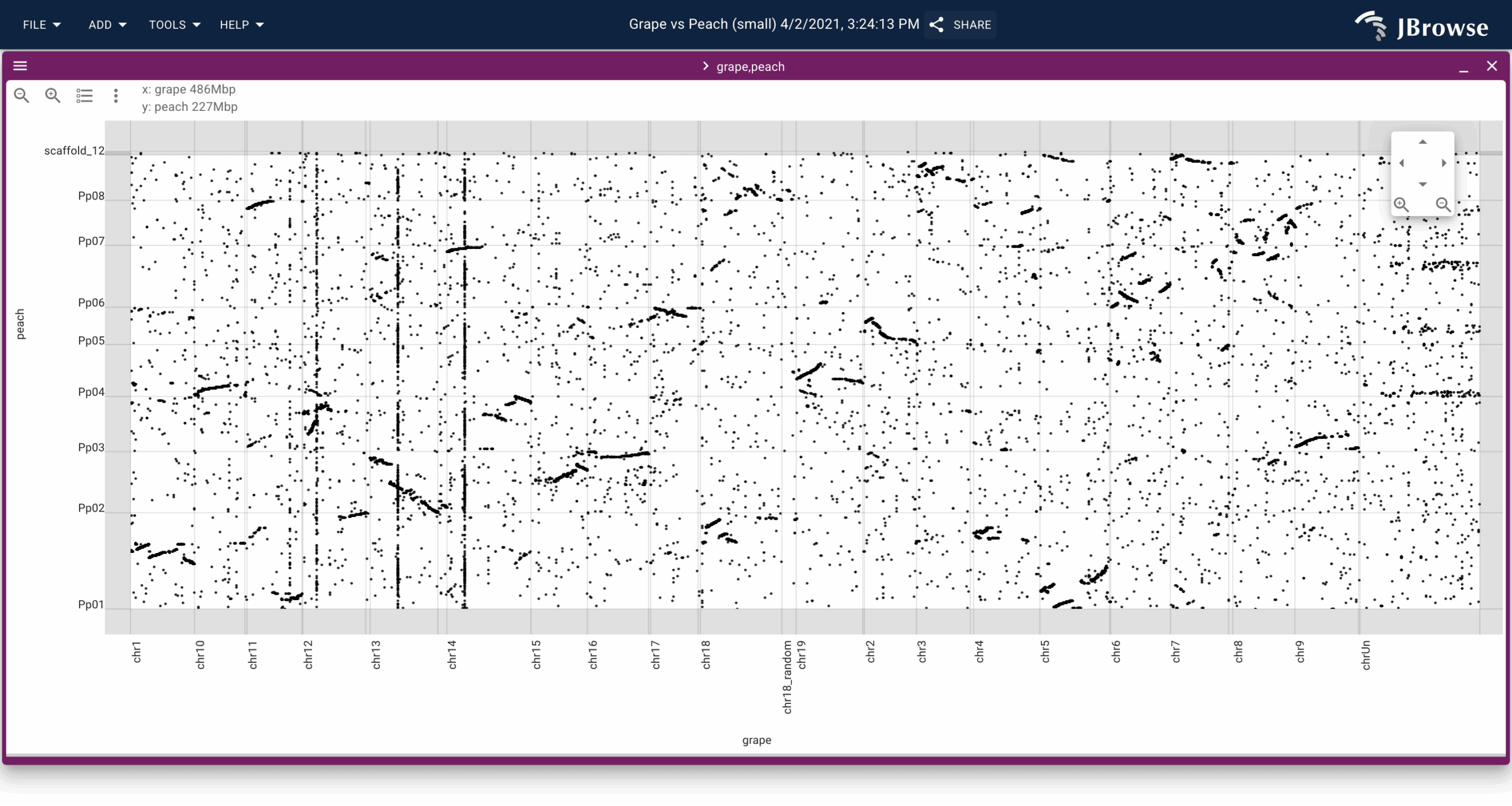 JBrowse 2 visualization