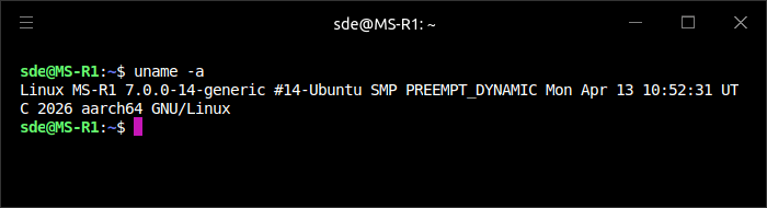 uname output