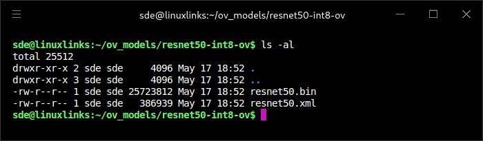 ResNet-50 INT8