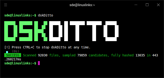dskDitto in action