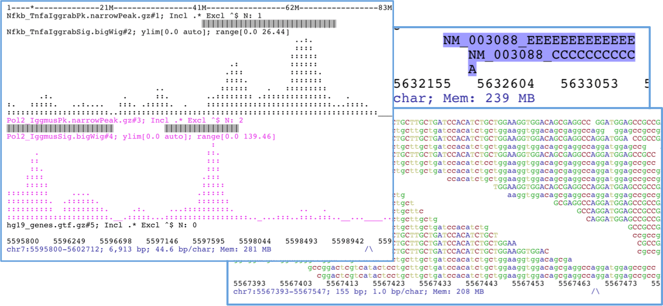 ASCIIGenome composite