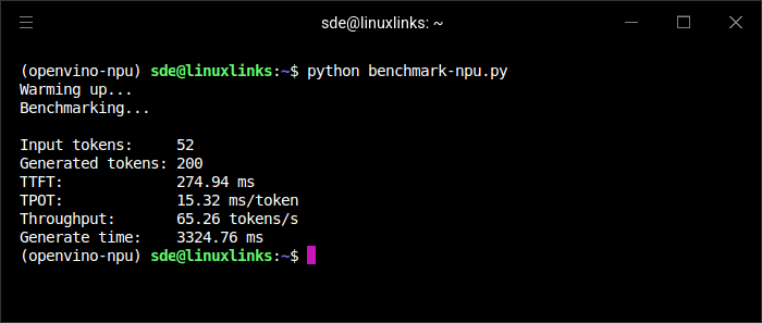 Llama 3.2 1B benchmark results from the Intel NPU