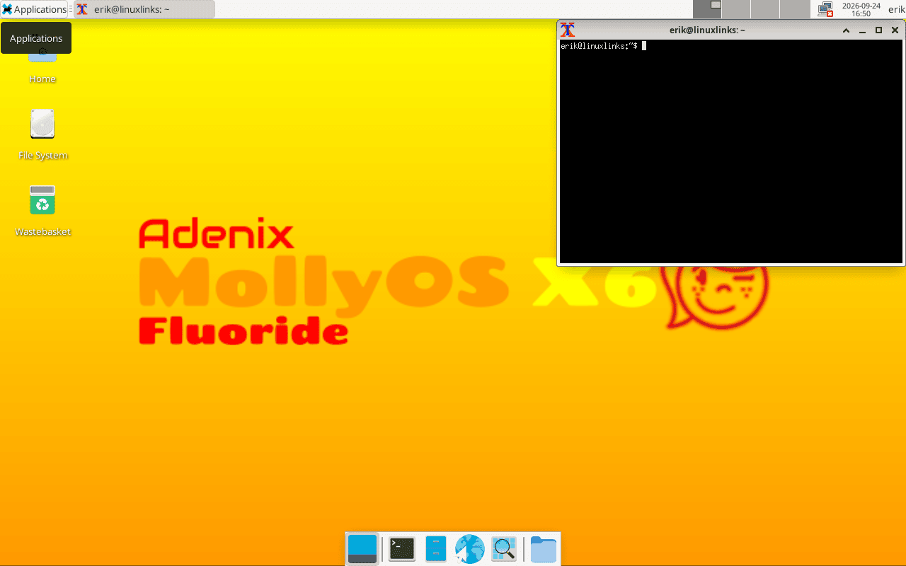 MollyOS desktop