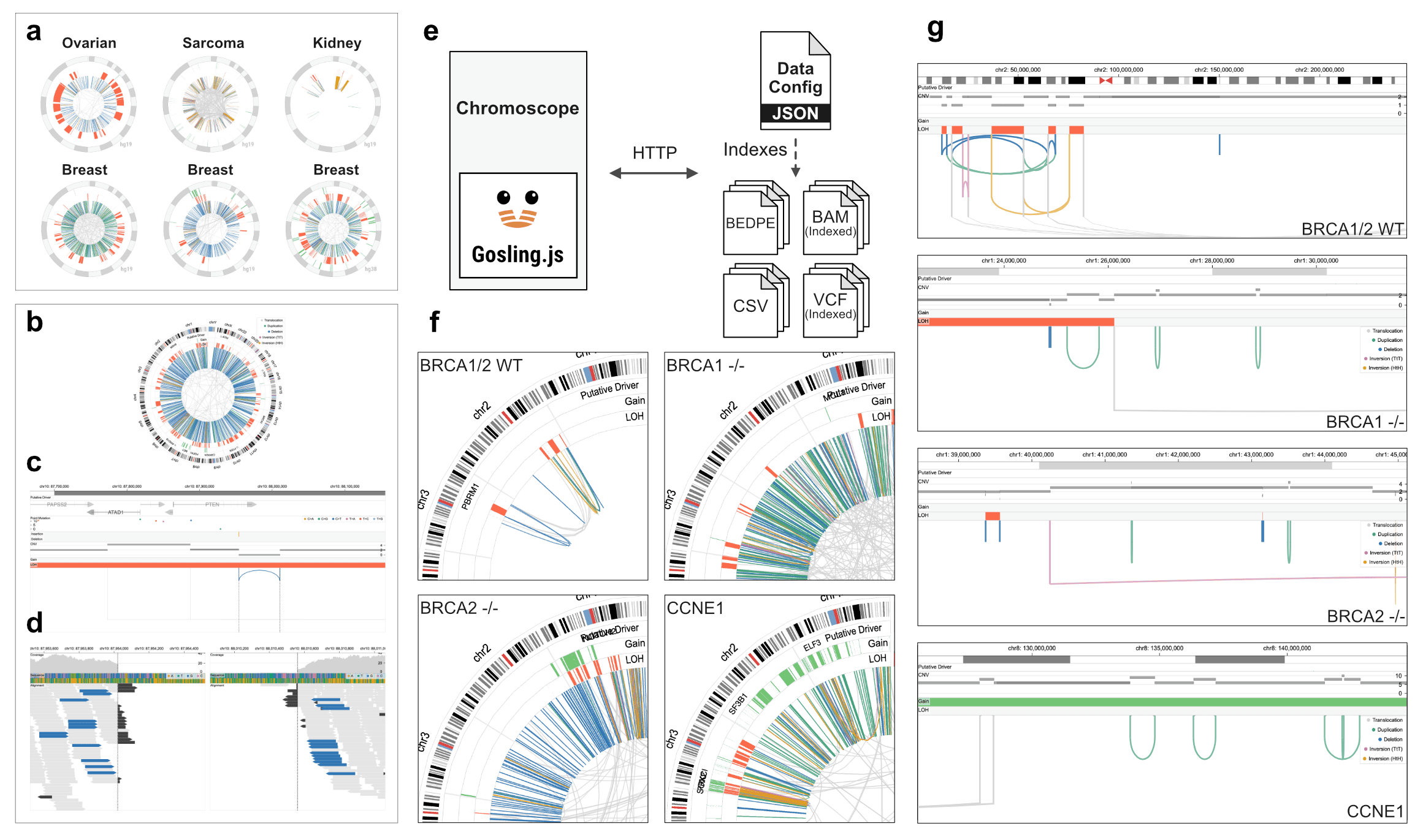 Chromoscope in action