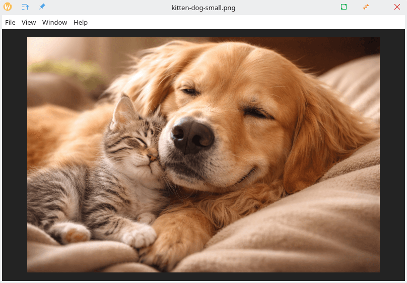 LeafView in all its glory!